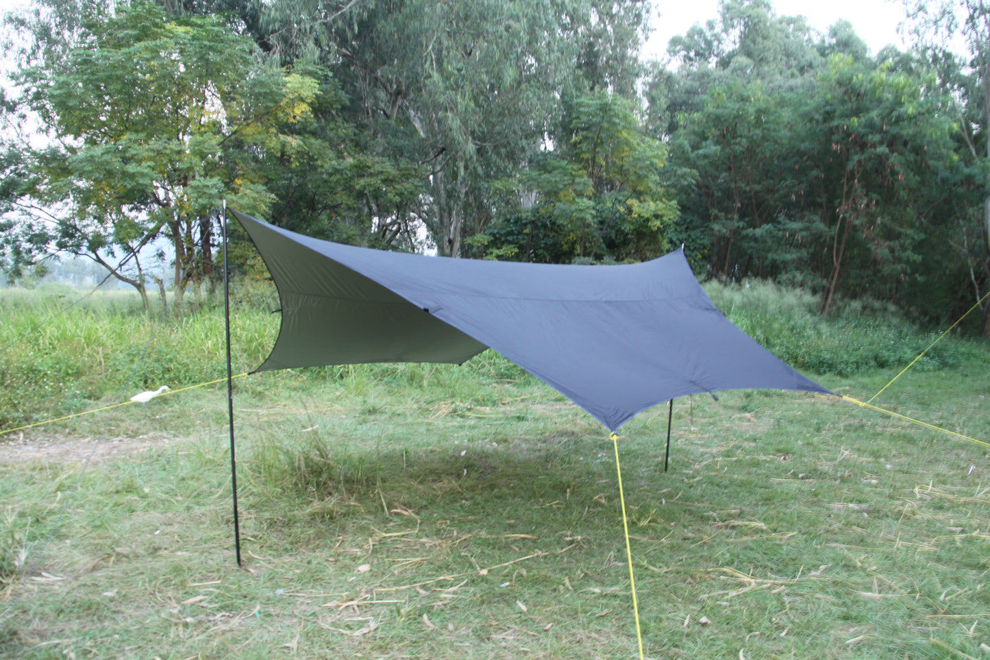 Waterproof Master Silver Base Black Ultralight Camping Canopy UPF 50+ 420x420cm